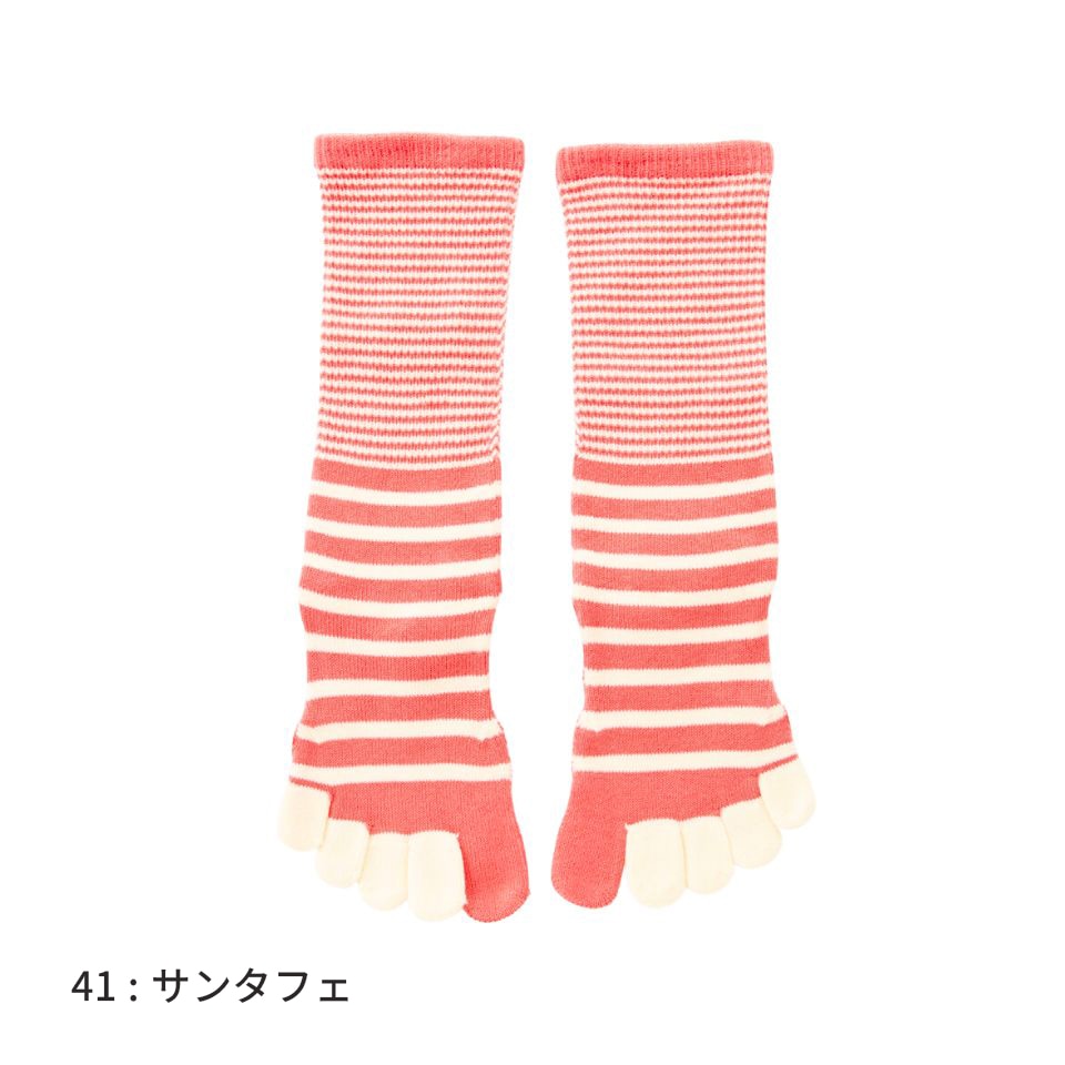 knitido ベーシック・エアークッション バイカラーボーダー ハイクルー 5本指ソックス 23-25cm