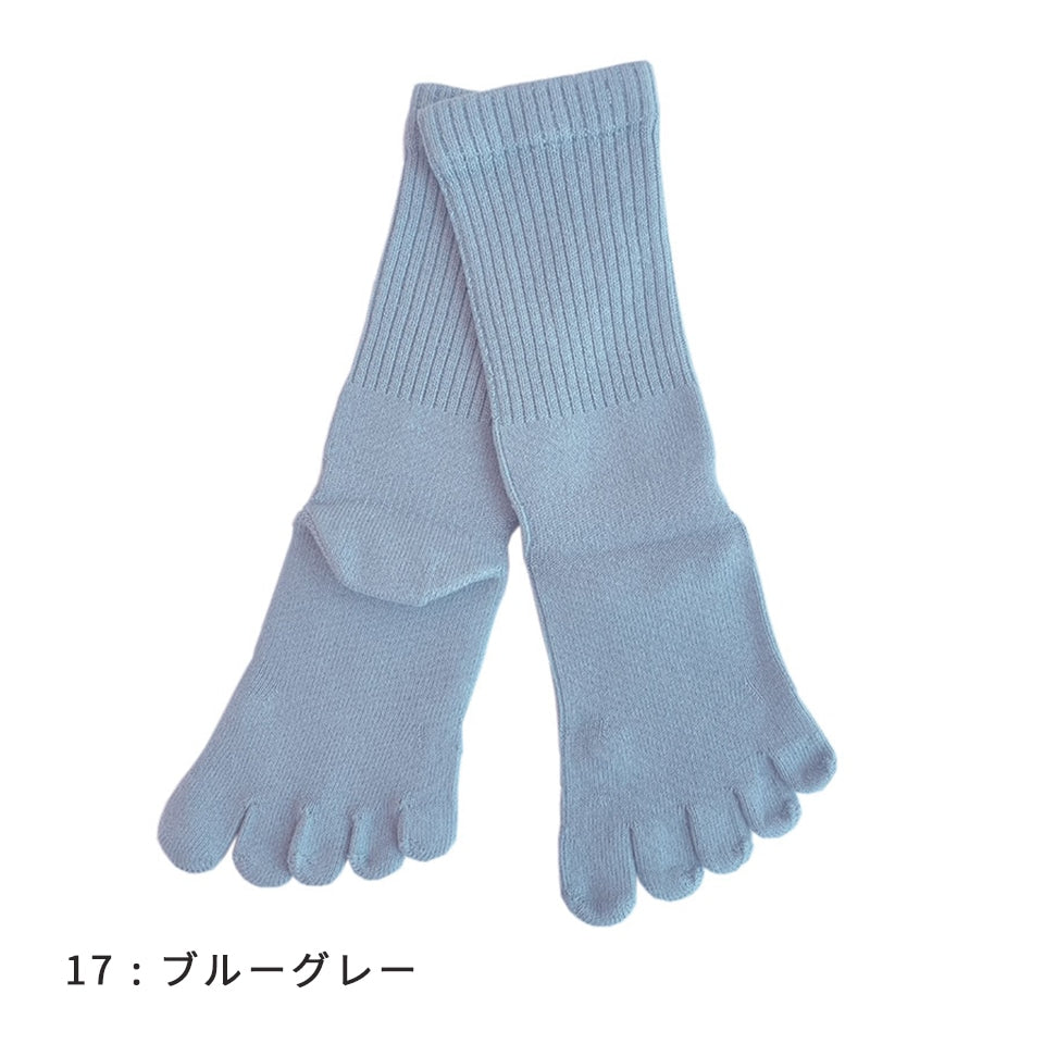 knitido カジュアル 綿スタンダード ロークルー 5本指ソックス 23-25cm