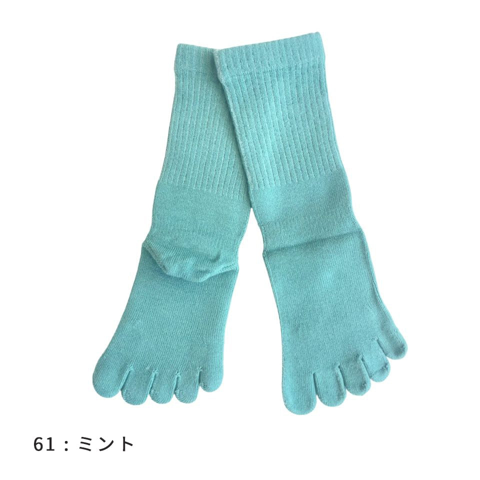 knitido カジュアル 綿スタンダード ロークルー 5本指ソックス 23-25cm