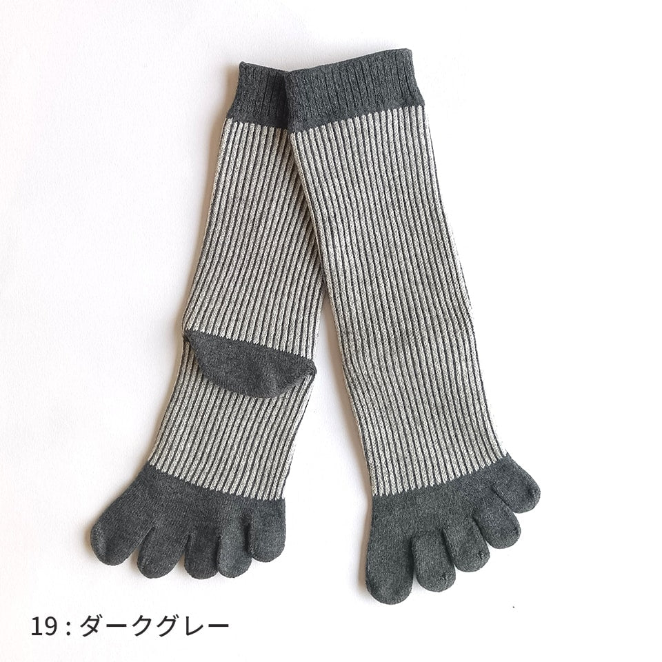 knitido カジュアル 3色ラメピンストライプ柄 ロークルー 5本指ソックス