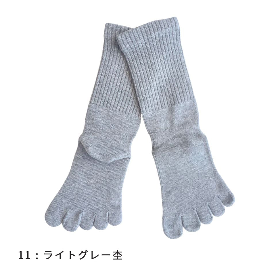 knitido カジュアル 綿スタンダード ロークルー 5本指ソックス 23-25cm