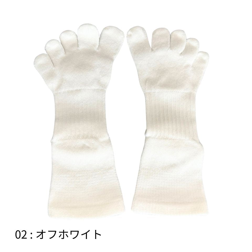 knitido ビューティー・エアークッション ロークルー 5本指ソックス 23-25cm