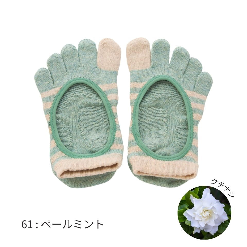 knitido ベーシック・エアークッション ボタニカルダイ バイカラーボーダー カバー 5本指ソックス 23-25cm
