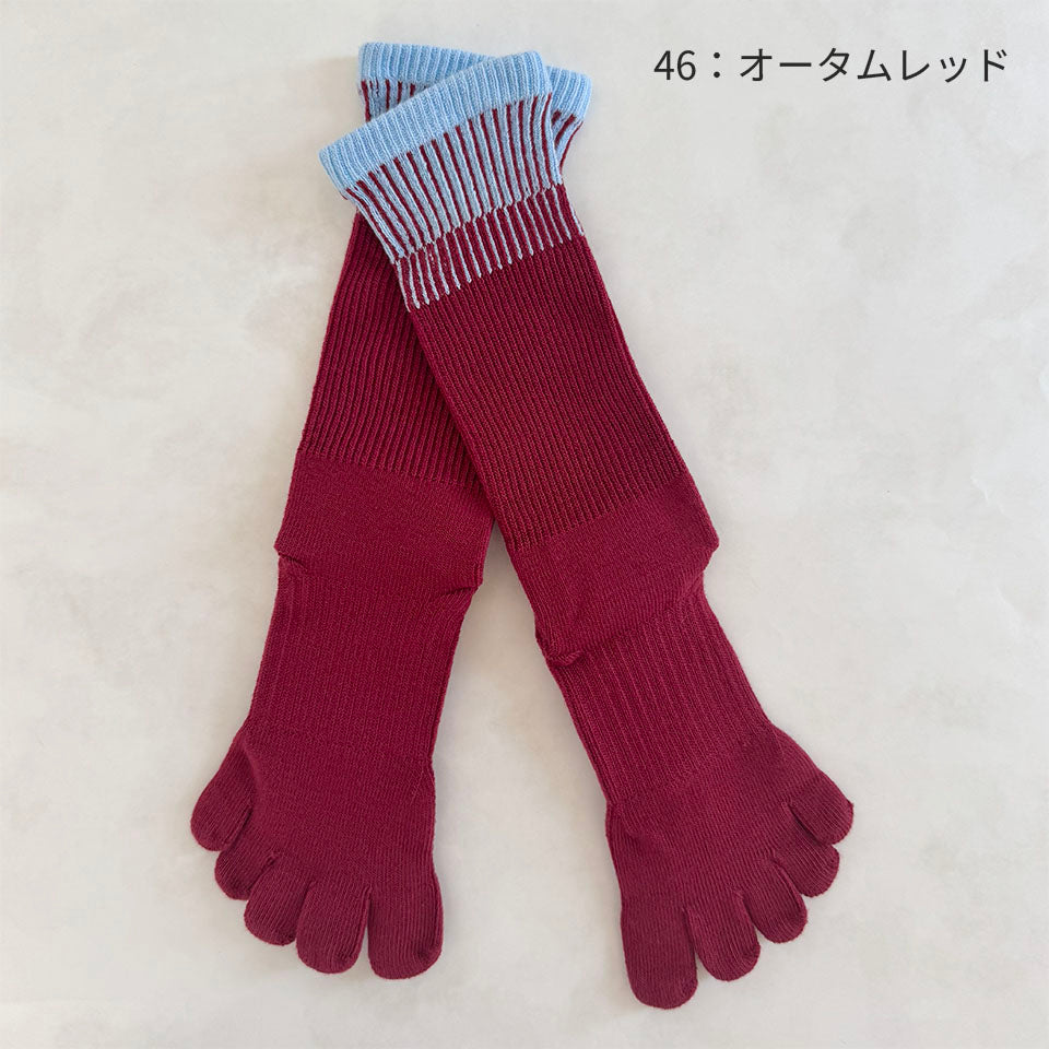 ビューティー・エアークッション バイカラーストライプ ハイクルー 5本指ソックス