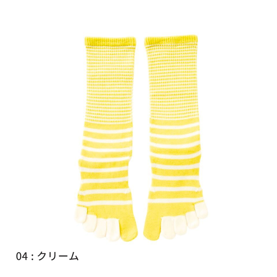 knitido ベーシック・エアークッション バイカラーボーダー ハイクルー 5本指ソックス 23-25cm
